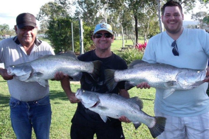 group of guys holding a massive fish