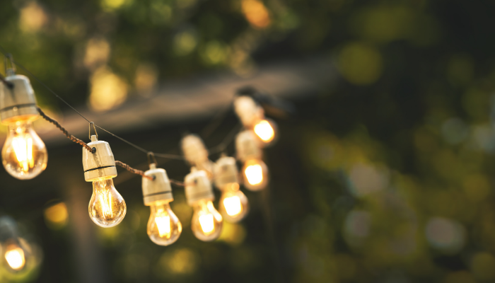 Festoon lights Townsville Barra Fun Park Wedding Venue a close up of an animal