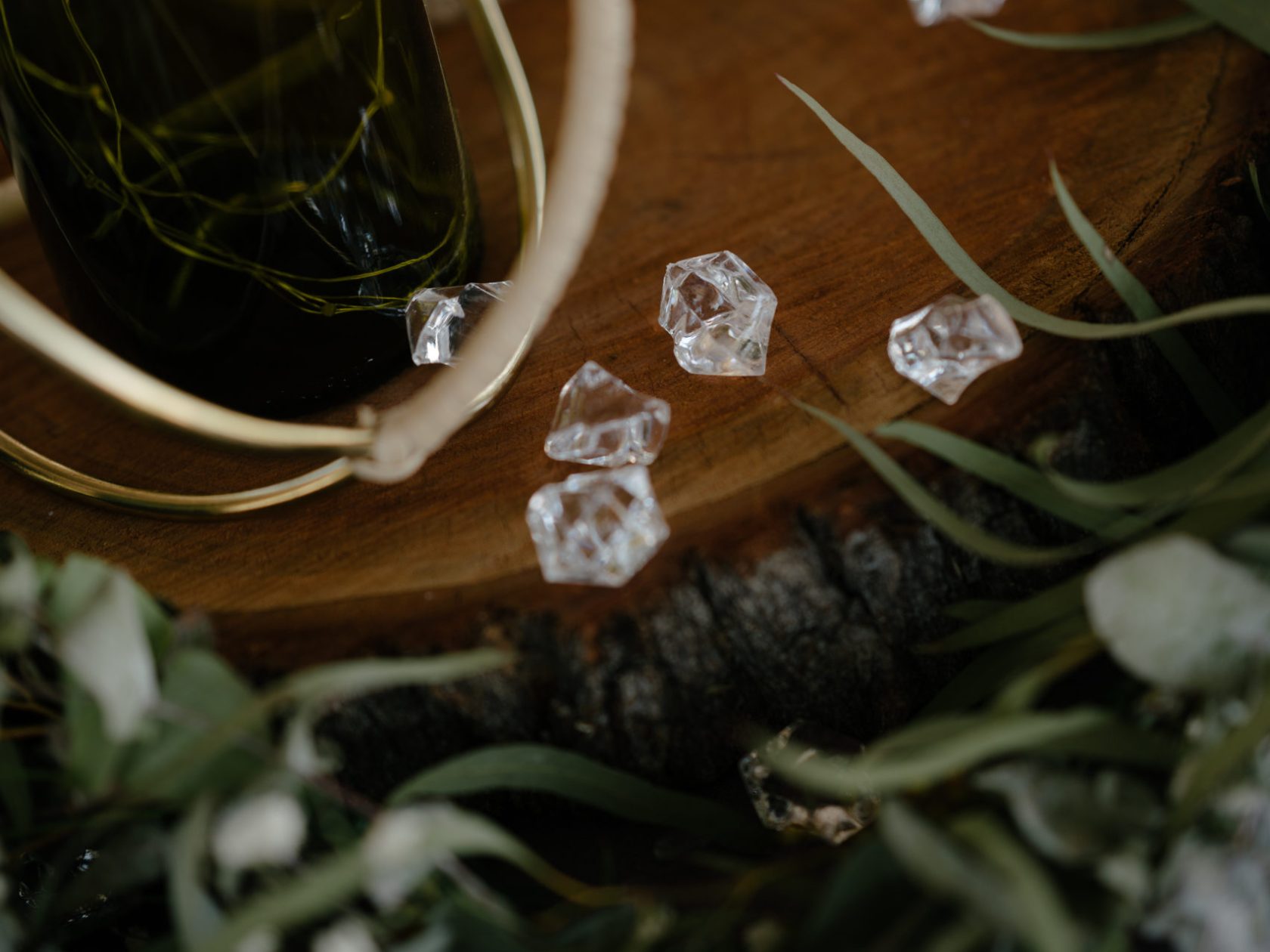 a close up of a plant